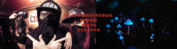 дмт Бронницы