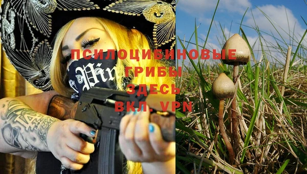 дмт Бронницы