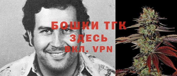 дмт Бронницы
